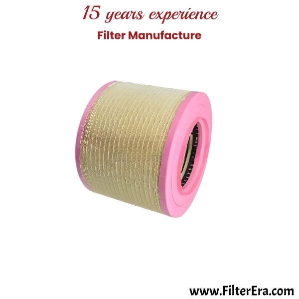 C41001 Комплект воздушных фильтров P785542 — изображение 2