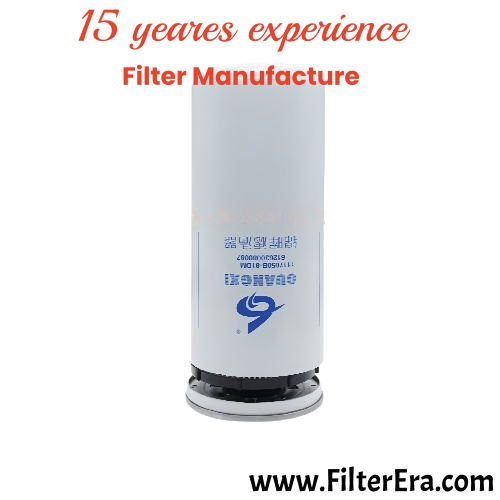 Топливный фильтр 612630080087 R010018 FF5740 1000422382 117050A81DM для двигателя WEI-CHAI WP10 — изображение 4